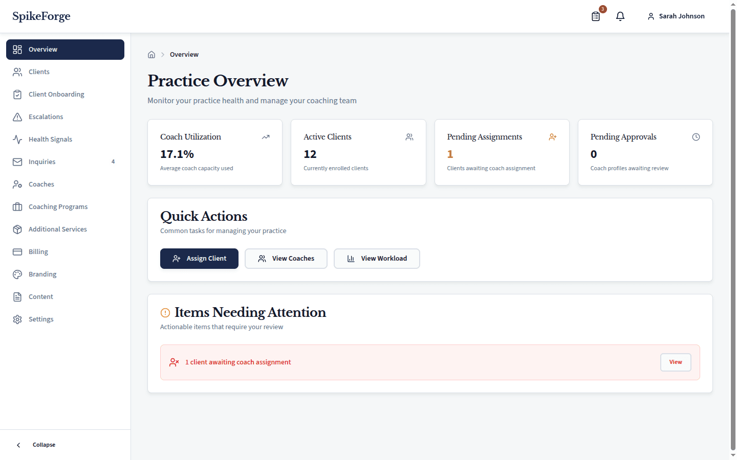Practice overview dashboard with coach utilization metrics, active client count, pending assignments, and action items